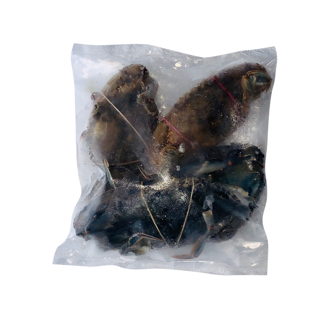 Crabe d’Afrique