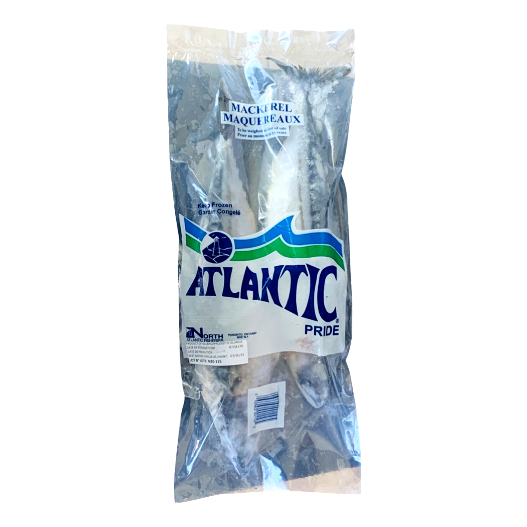 Atlantic. Mackerel / Maquereaux (Large Mackerel)